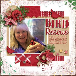 Bird Rescue