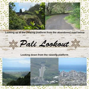 Pali Lookout