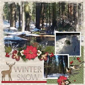 Winter Snow