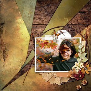 Seasons Change