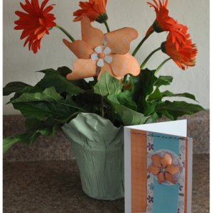 Mother's Day Gift