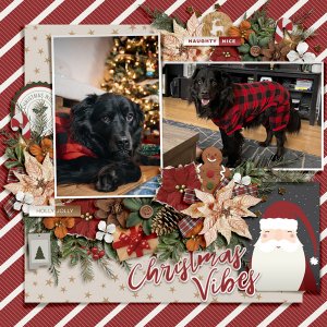 Christmas vibes