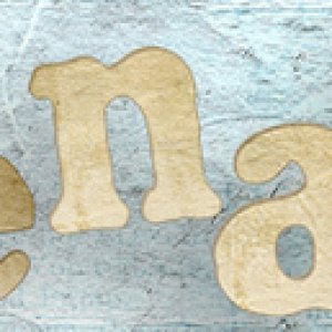SIGNATURE - NOVEMBER 2022