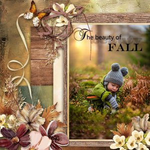 The Beauty of Fall