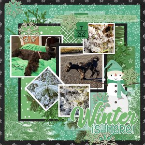 Kit 2022 December Bundle from Designs by Connie Prince