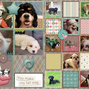 Pet History