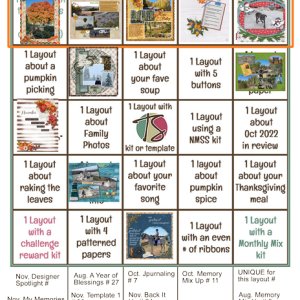 Nov. 2022 bingo card