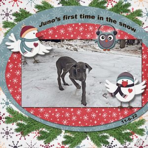 Juno's First Snow