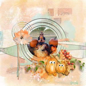 Pumpkin Patch