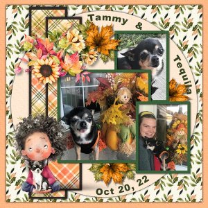 GS Template 1 Challenge Nov 2022