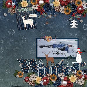 a happy winter day