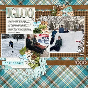 Build a Snow House