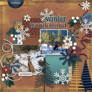 winter wonderland