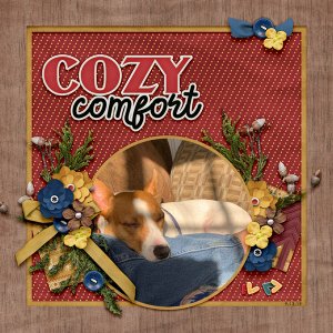 Cozy Comfort