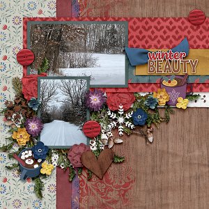 Winter Beauty