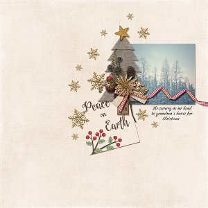 Peace on Earth