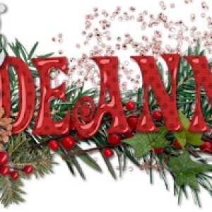December 2022 Siggie