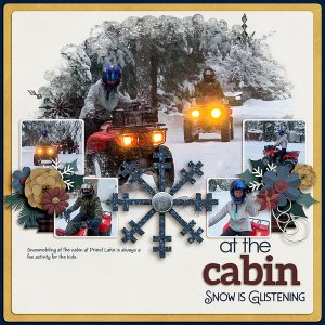 At-the-Cabin