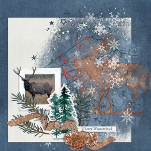 Winter Wonderland