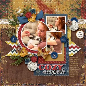 COZY COMFORT