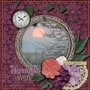 Moonlight-oasis