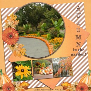 Autumn in the garden!