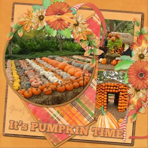 It's PUMPKIN TIME
