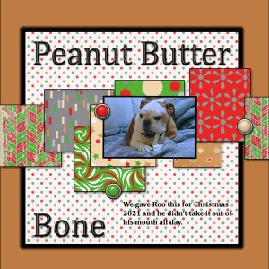 Peanut Butter Bone