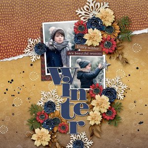 Winter Memories