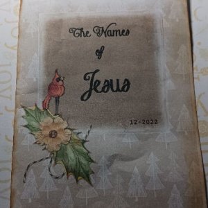 Scripture Writing Journal