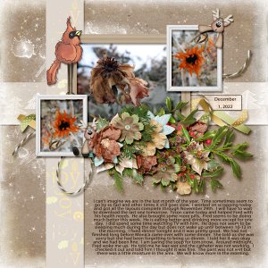 12-December_1_2022_small