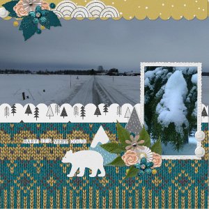 A_long_winters_nap