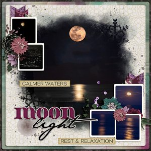 Moonlight Oasis