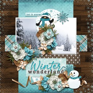 winter wonderland