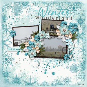 Winter Memories