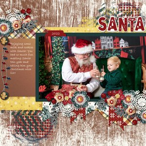 Visit With Santa