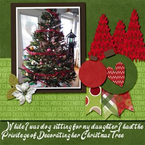 Terry's Tree