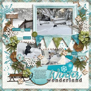 Winter Wonderland