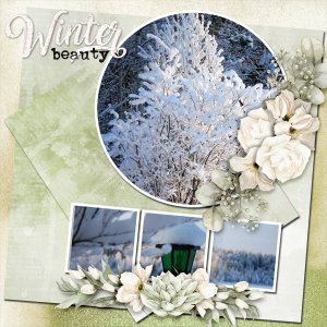 Winter-beauty6