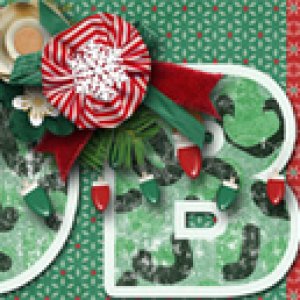 December Siggy