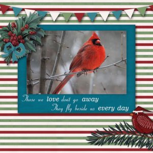 Cardinal