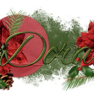December 2022 Siggy