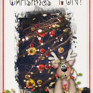 Christmas Fun?