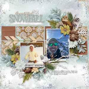 Snow Lover