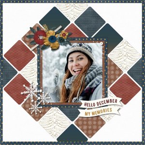 Winter snow