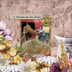 A Moment In Time