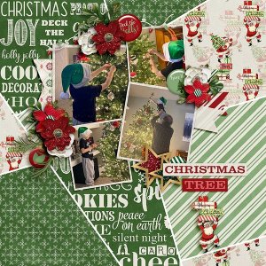 Decorating-the-Tree