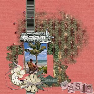 Oasis