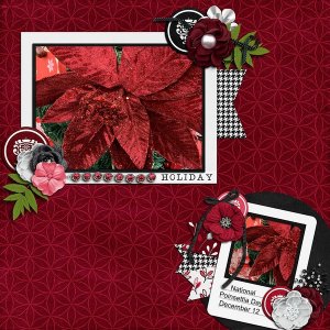National Poinsettia Day December 12