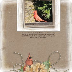 Cardinal